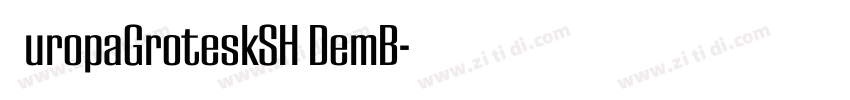 EuropaGroteskSH DemB字体转换
